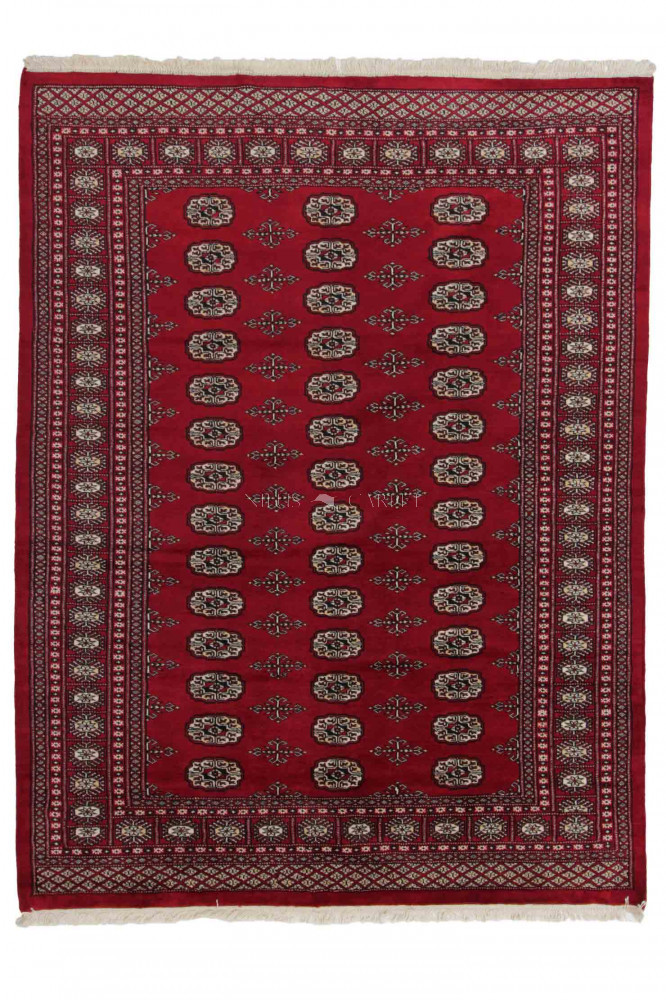 Pakisztáni szőnyeg Bokhara 169x223