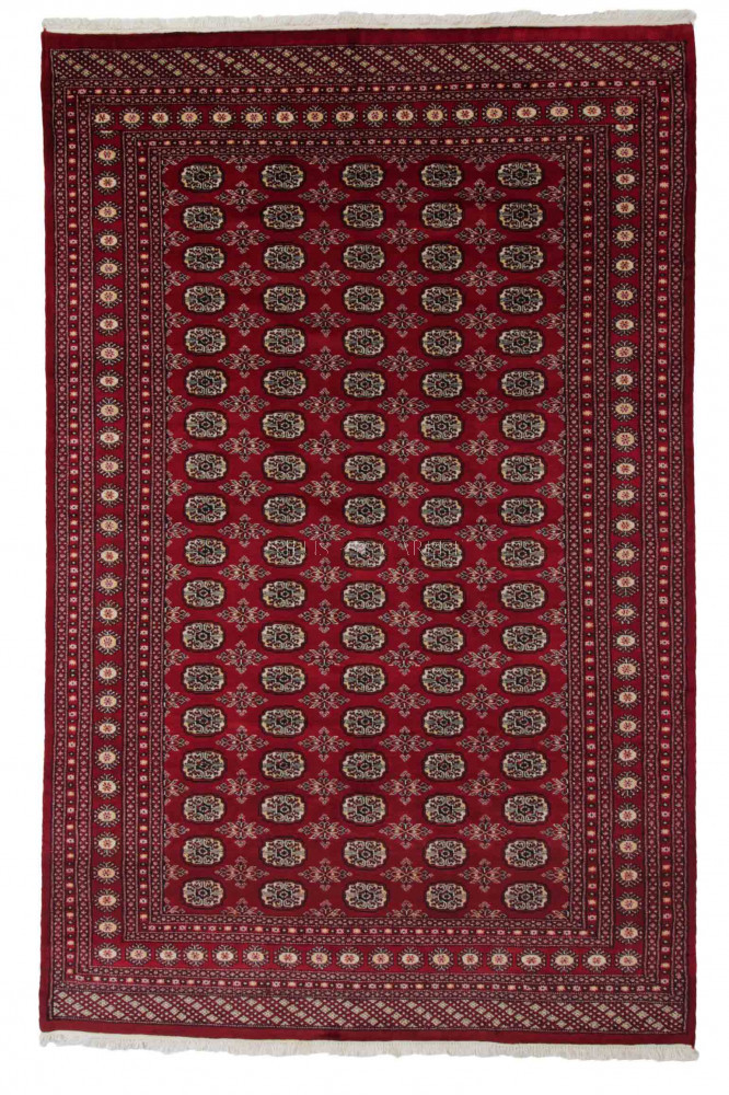Pakisztáni szőnyeg Bokhara 198x308