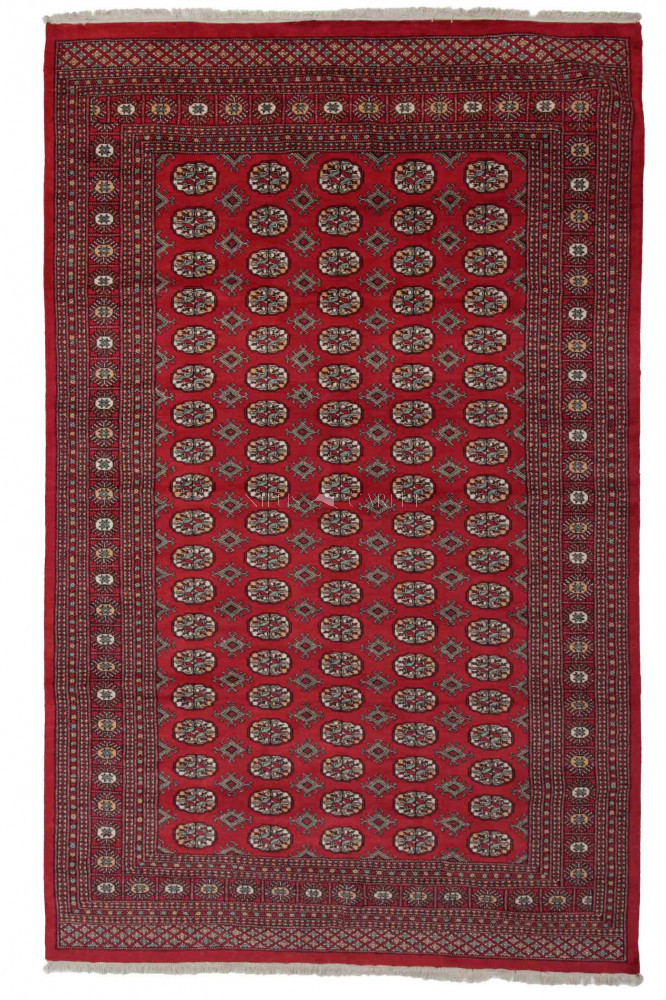 Pakisztáni szőnyeg Bokhara 198x316