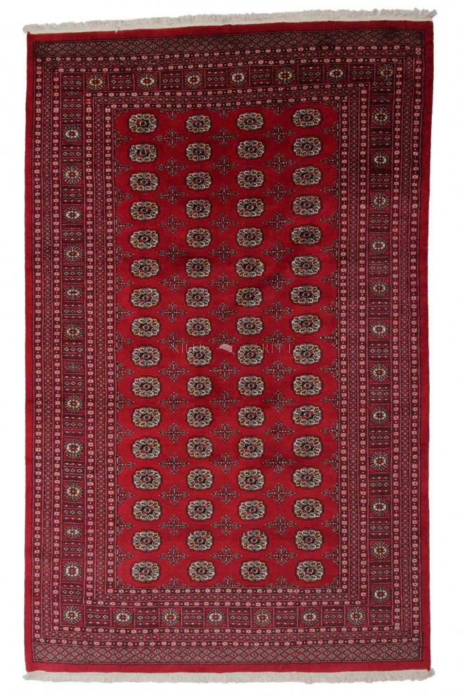 Pakisztáni szőnyeg Bokhara 199x310