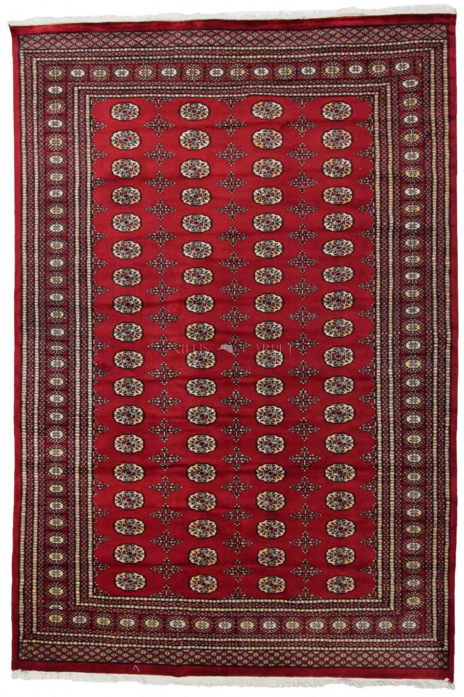 Pakisztáni szőnyeg Bokhara 218x320