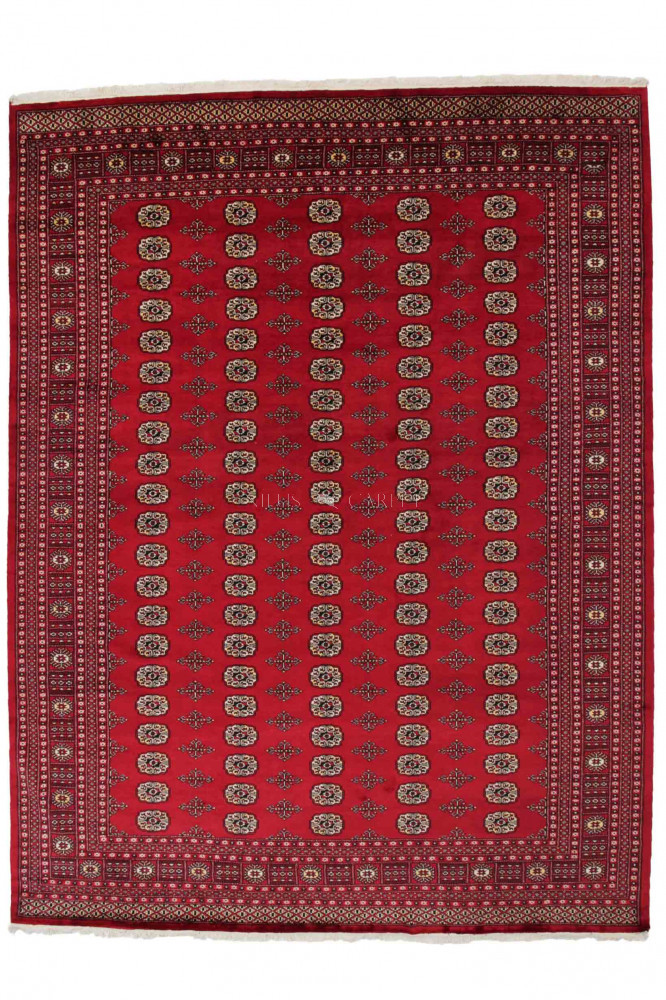 Pakisztáni szőnyeg Bokhara 280x366